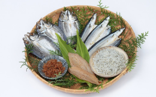 海 の 幸 とお 肉 を 堪能 できる ぜいたく 定期便【合計6回】 / 冷凍 肉 牛肉 えび 伊勢えび エビ 干物 しゃけ 鮭 鯖 ローストビーフ 牛 小分け 味 焼き肉 焼肉【tkb149】