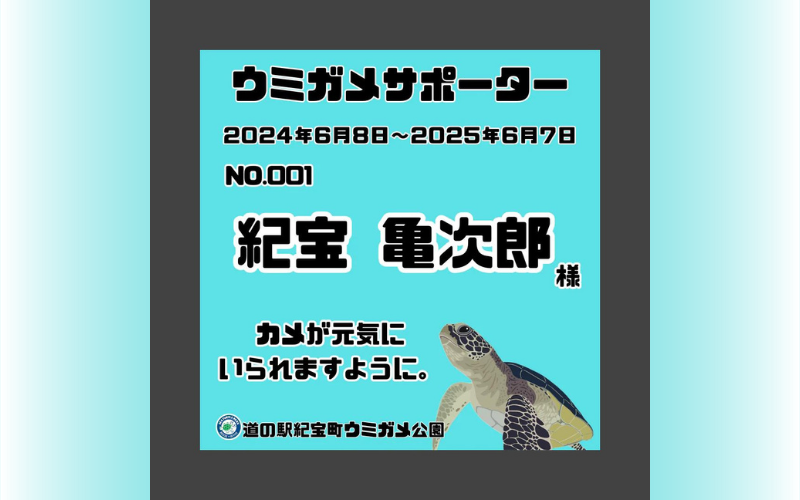 紀宝町ウミガメ公園 ウミガメサポーター（1年間） / ウミガメ サポーター ウミガメ公園 三重県 紀宝町 イベント 餌やり【rkr016】