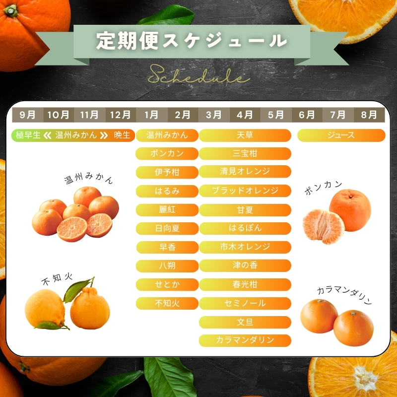 【全12回】 柑橘 定期便 石本果樹園 店主おすすめの柑橘セットを毎月お届け！ / みかん フルーツ定期便 みかん フルーツ定期便 みかん フルーツ定期便 みかん フルーツ定期便 みかん フルーツ定期便 みかん フルーツ定期便 みかん フルーツ定期便 みかん フルーツ定期便 みかん フルーツ定期便 みかん フルーツ定期便 みかん フルーツ定期便 みかん フルーツ定期便 みかん フルーツ定期便 みかん フルーツ定期便 みかん【tkb507】