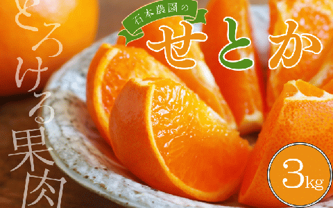 2Lか3L 9玉～12玉 石本農園のハウスせとか約3kg【2026年2月中旬から下旬までに順次発送】 / みかん せとか ハウスせとか 柑橘【mis007A】