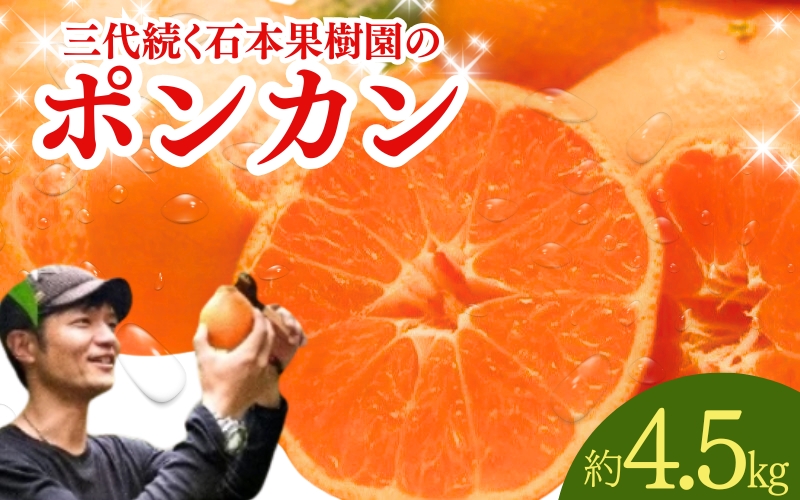 【先行予約】石本果樹園の美味しい ポンカン 約4.5kg 20～25玉前後【1月初旬から２月初旬までに順次発送】【min001B】
