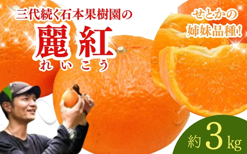 【先行予約】石本果樹園の美味しい麗紅（レイコウ）約3kg 18から20玉前後【2026年2月中旬から3月中旬までに順次発送】【min003B】