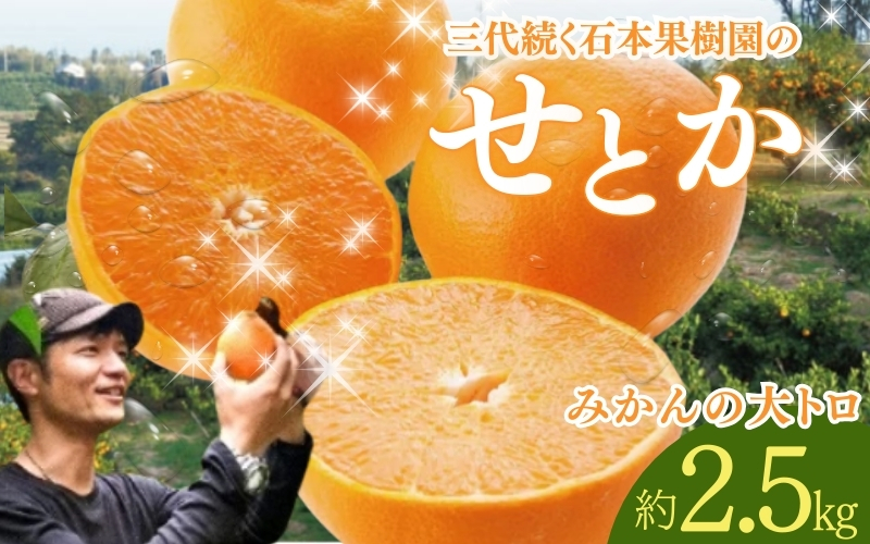 【先行予約】石本果樹園の美味しいせとか 約2.5kg 9～15玉前後【2024年2月中旬から3月中旬までに順次発送】【min004A】