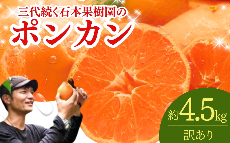 【先行予約】【訳あり】石本果樹園の美味しい ポンカン 約4.5kg 20～25玉前後【2026年1月初旬から２月初旬までに順次発送】【min017】