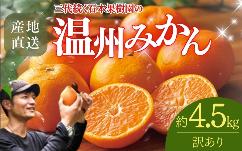 【先行予約】【訳あり】石本果樹園の美味しい温州みかん 約4.5kg 35～40玉前後【2025年11月初旬から1月下旬までに順次発送】【min020】