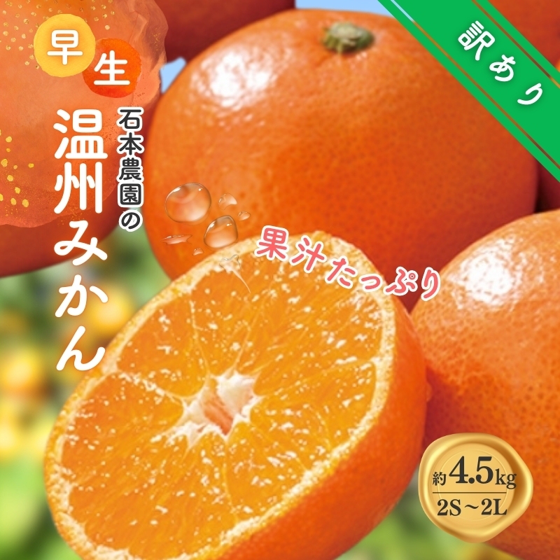 訳あり 2S-2Lサイズおまかせ 石本農園の早生温州みかん 約4.5kg【11月下旬から12月末頃までに順次発送】/ みかん ミカン 蜜柑 早生 温州【mis014B】