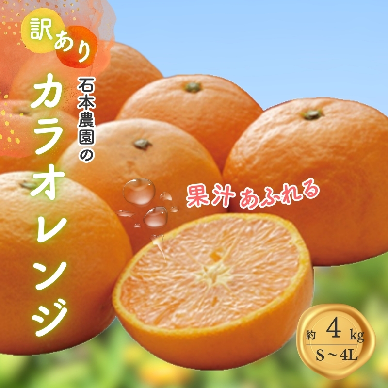 訳あり S-4L サイズおまかせ 石本農園のカラオレンジ 4kg 【2026年4月初旬から2026年4月下旬までに順次発送】 / みかん ミカン 蜜柑 カラオレンジ 訳あり おまかせ【mis015A】