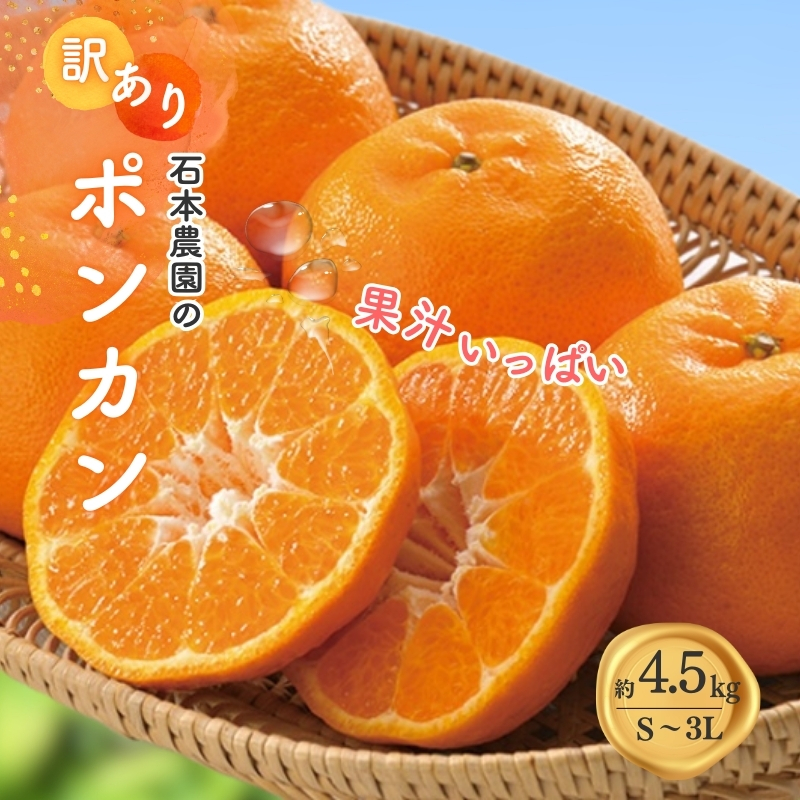 訳あり S-3L サイズおまかせ 石本農園のポンカン 4.5kg 【2026年1月中旬から2026年2月中旬頃までに順次発送】/ みかん ミカン 蜜柑 ぽんかん 訳あり おまかせ【mis016】