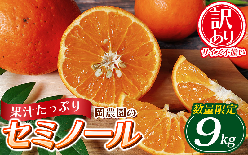 訳あり品 サイズ混合 ご家庭用 岡農園のセミノール9kg【2025年3月下旬から4月下旬までに順次発送】 オレンジ【mok004B】