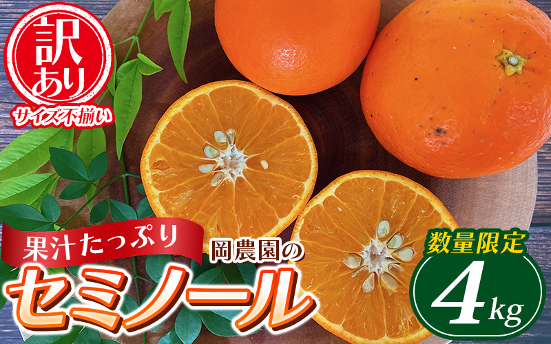 訳あり品 サイズ混合 ご家庭用 岡農園のセミノール4kg【2026年3月下旬から4月下旬までに順次発送】 セミノール わけあり 訳あり 家庭用 みかん 蜜柑 数量限定 ミカン オレンジ【mok009B】