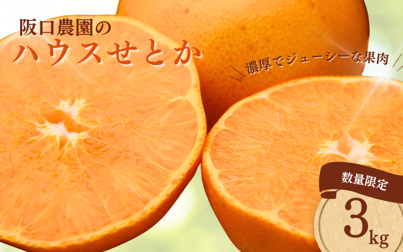 阪口農園のハウスせとか 3kg 2L～3L 9玉～12玉【2026年2月中旬から3月中旬までに順次発送】/ せとか せとか せとか せとか せとか せとか せとか せとか せとか せとか せとか せとか せとか せとか せとか せとか せとか せとか せとか せとか せとか せとか せとか せとか せとか せとか せとか せとか せとか せとか せとか せとか みかん みかん みかん みかん みかん【msa001B】