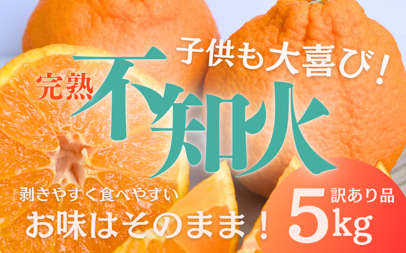 たにぐち農園の完熟不知火 5kg ご家庭用 ちょこっと訳あり【2026年2月中旬から3月下旬までに順次発送】 / 不知火 不知火 不知火 不知火 不知火 不知火 不知火 不知火 不知火 不知火 不知火 不知火 不知火 不知火 不知火 不知火 不知火 不知火 不知火 不知火 不知火 不知火 不知火 不知火 不知火 不知火 不知火 不知火 不知火 不知火 不知火 不知火 不知火 不知火【mtn010B】