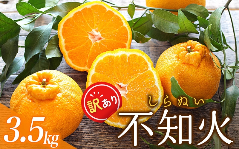 ご家庭用 訳あり 不知火 約3.5kg ＋痛み保証分 大小混合 〈2026年2月初旬～3月下旬までに順次発送〉 家庭用 訳アリ わけあり みかん ミカン フルーツ 果物 くだもの 不知火 しらぬい 不知火デコポン 蜜柑 柑橘 人気 予約 先行予約 数量限定 【njb670C】