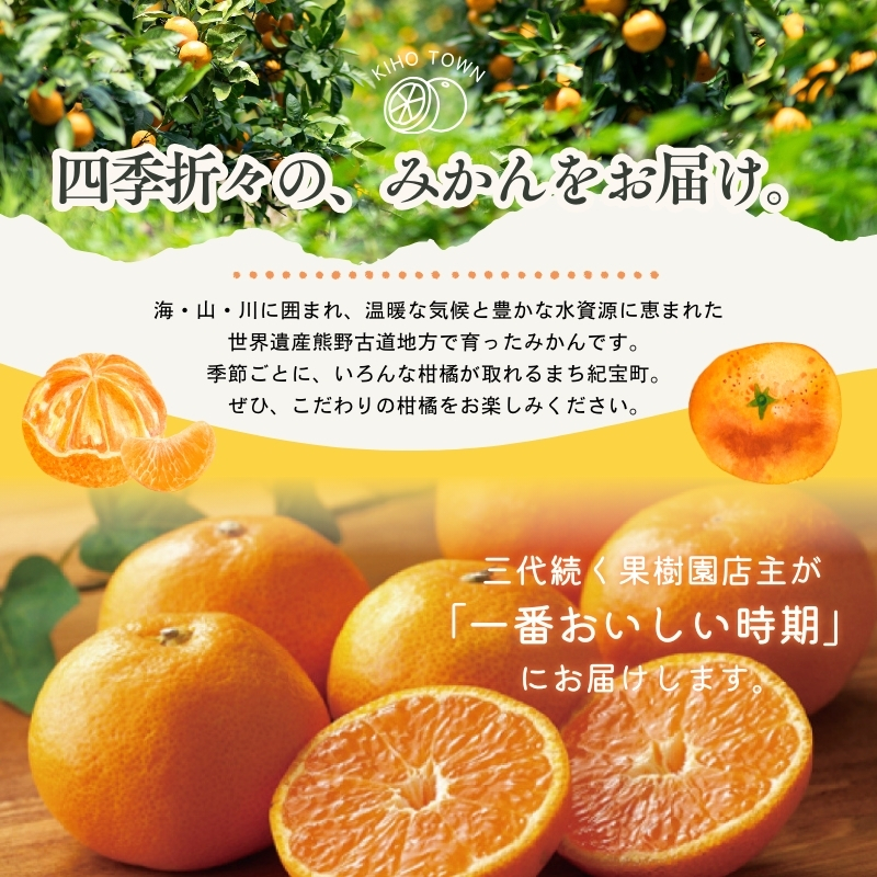 【全4回】 柑橘 定期便 石本果樹園 旬の柑橘を春夏秋冬でお届け！ / みかん フルーツ定期便 みかん フルーツ定期便 みかん フルーツ定期便 みかん フルーツ定期便 みかん フルーツ定期便 みかん フルーツ定期便 みかん フルーツ定期便 みかん フルーツ定期便 みかん フルーツ定期便 みかん フルーツ定期便 みかん フルーツ定期便 みかん フルーツ定期便 みかん フルーツ定期便 みかん フルーツ定期便 みかん【tkb508】