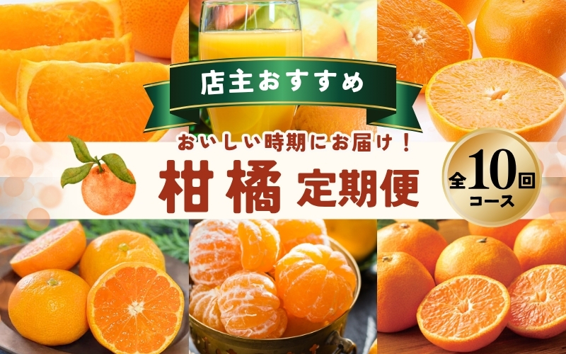 【全10回】 柑橘定期便 石本果樹園 店主おすすめの柑橘セットを毎月お届け！【tkb509】