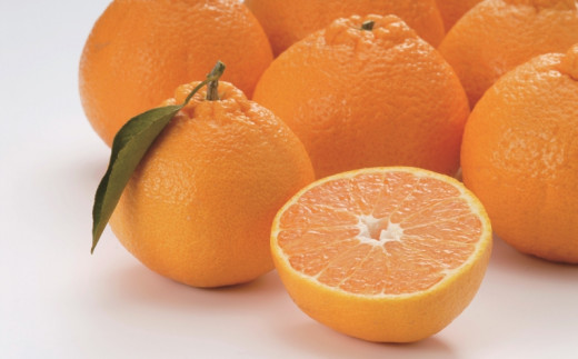 2L-3L 9玉～12玉 森溝農園のハウス不知火 3kg【2024年2月～2024年3月順次発送】 / みかん ミカン 蜜柑 不知火 しらぬい【mmz002】