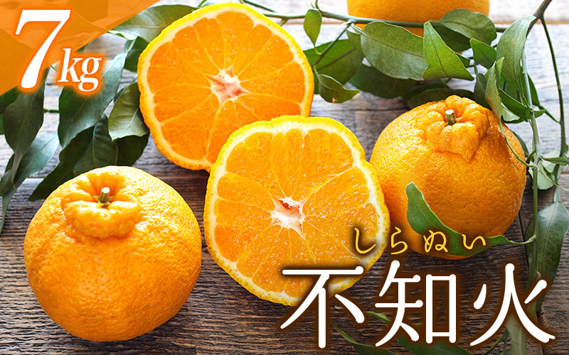 ＼ 受付は3月8日まで！！／ご家庭用  訳あり 不知火 7kg 18～35玉 大小混合 【2024年2月初旬から3月下旬までに順次発送致します。】【njb671A】