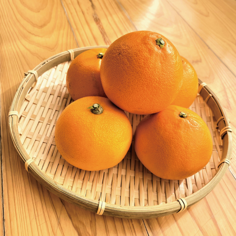 【先行予約】Lから3Lのサイズ混合 橋本農園のハウスせとか 10kg 【2024年2月初旬から2月末までに順次発送】【mht002】