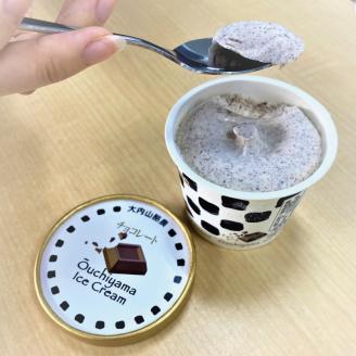 大内山アイスクリーム チョコレート4個 アイス アイスクリーム チョコ チョコレート セット 大内山 スイーツ 詰め合わせ 人気 おすすめ プレゼント[khy009B]
