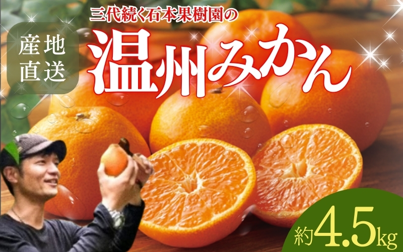 [先行予約]石本果樹園の美味しい温州みかん 約4.5kg 35〜40玉前後[2025年11月初旬から1月下旬までに順次発送][min005B]