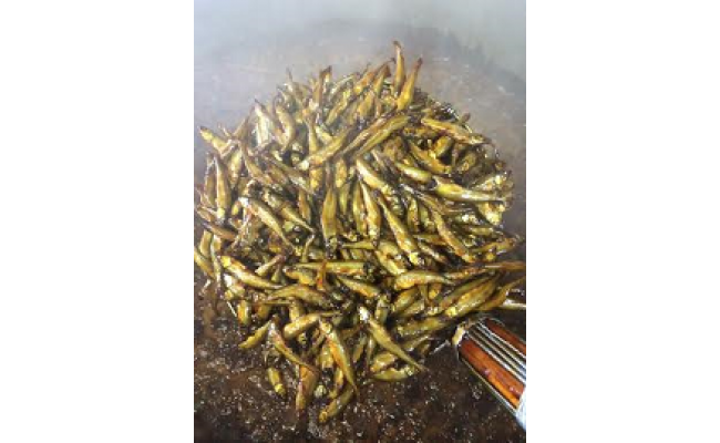 【琵琶湖の四季のおもてなし】近江ふるさとの味セット(４