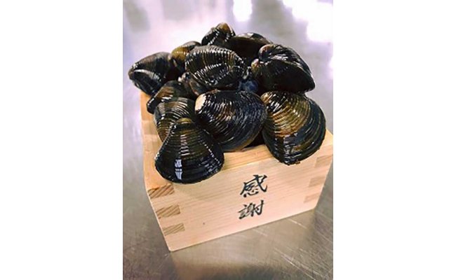 【琵琶湖に感謝！滋味香る！】　琵琶湖産　天然瀬田シジ