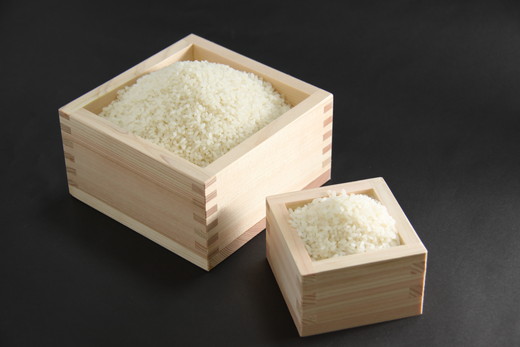 【新米】【7年産】近江米　コシヒカリ 白米【10kg（5kg×2袋