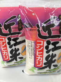 【新米】【7年産】近江米こしひかり【10kg（5kg×2袋）】【T02