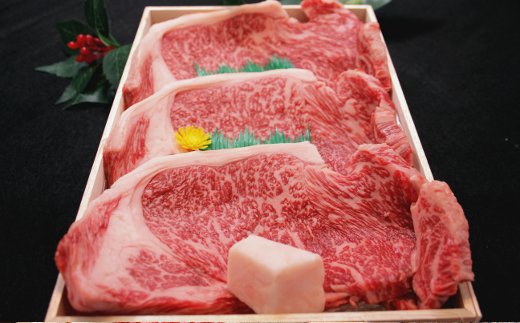 【4等級以上】近江牛サーロインステーキ【600ｇ（  200g×3枚