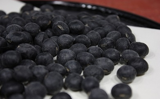 【令和7年12月25日頃より発送】令和7年産　黒豆【1.5kg（500ｇ