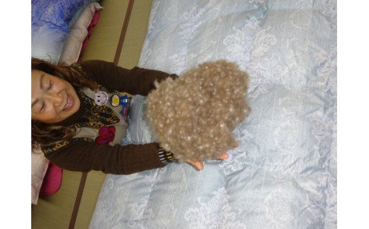 羽毛の宝石　アイダーダックダウン95%300g入り　羽毛肌布団