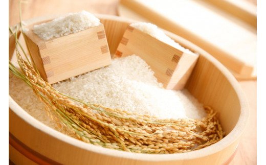 【新米】【7年産】すっごいもちもち 「しきゆたか」 白米