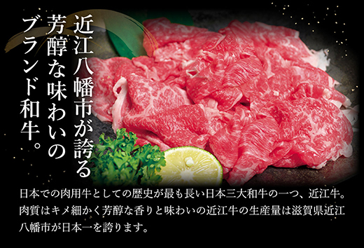 【年内発送】近江牛A5ランク切落し【500g】【訳あり】【DG12W