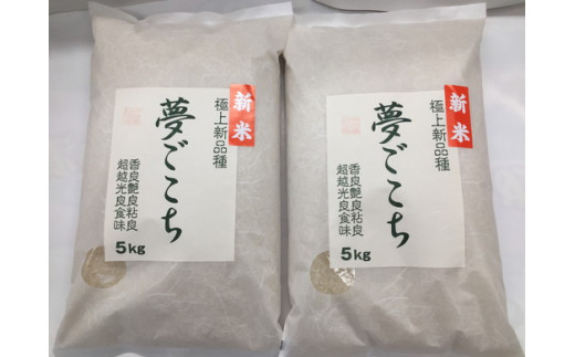 【新米】【7年産】近江米夢ごこち【5kg×2袋】【T035W2】