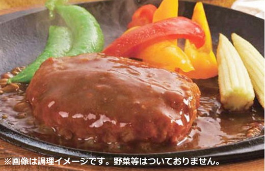 【総本家肉のあさの】近江牛ハンバーグ【600ｇ（120ｇ×5個