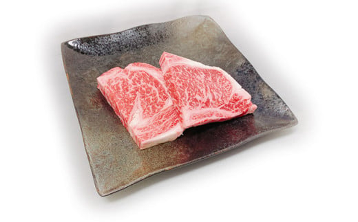 【期間限定】極上近江牛500g　食べ方色々！アソート定期便