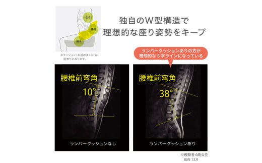 【nishikawa／西川】 Keeps(キープス)ランバークッション for Kids