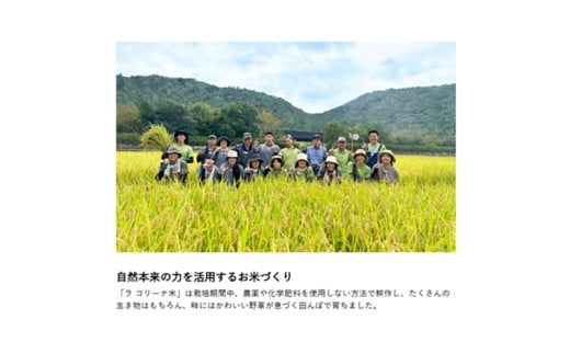 【７年産】ラ コリーナ米　白米（2kg）【FT18W】