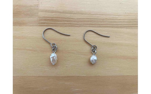 琵琶パールのアクセサリー作り＆真珠養殖体験ツアー【FG04W