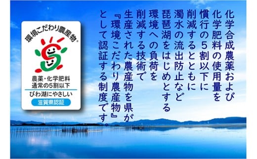 【7年産】近江米 環境こだわり米 みずかがみ 無洗米【5kg×1