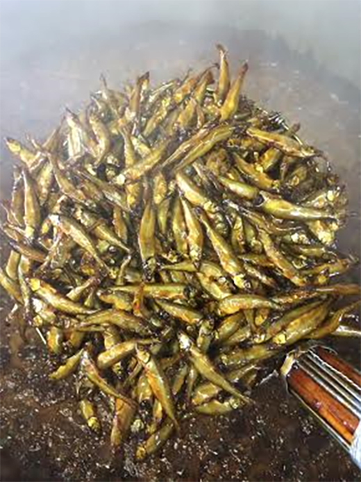 【淡海のふるさとの香り高い味】近江ふるさとの味セット(