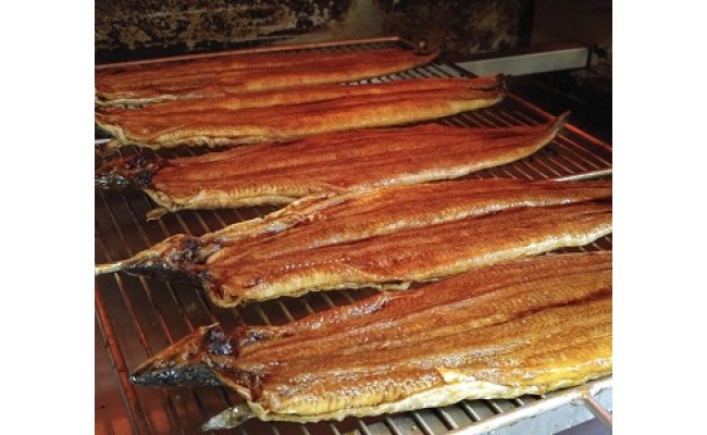 【一度食べたらやみつき！リピート多数】うなぎ蒲焼１尾