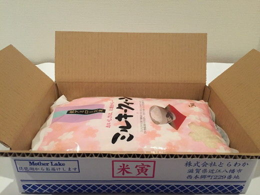 【新米】【7年産】近江米ミルキークイーン【5kg×1袋】【T029