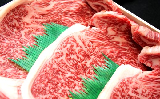 【4等級以上】近江牛サーロインステーキ【600ｇ（  200g×3枚