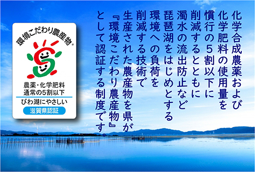 【新米】【7年産】近江米 環境こだわり栽培 みずかがみ 無