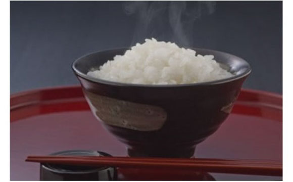 【新米】【7年産】近江米　コシヒカリ　白米【20kg（10kg×2