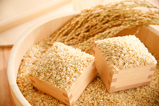 【新米】【7年産】すっごいもちもち　「しきゆたか」　玄