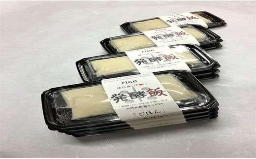 発酵飯10個【100g×10p】【AD24W】