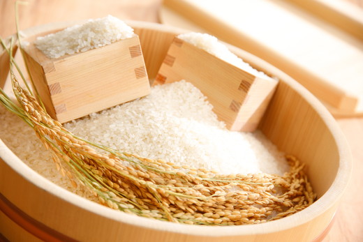 【新米】【7年産】みずかがみ　白米定期便　１２か月で５k