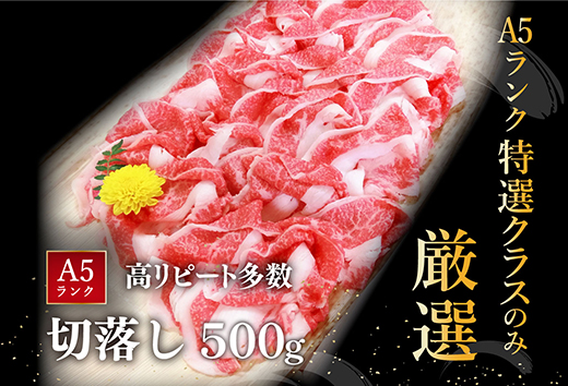 【年内発送】近江牛A5ランク切落し【500g】【訳あり】【DG12W